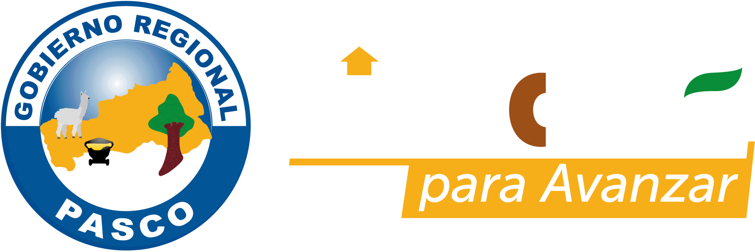 Región Pasco